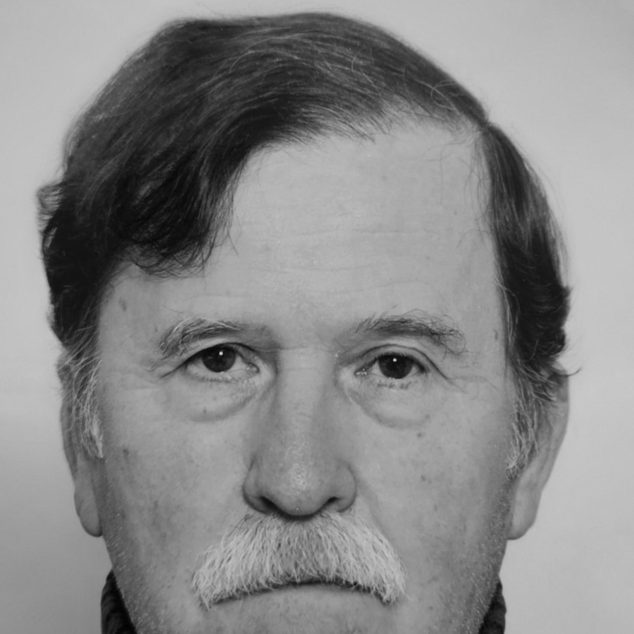 Josip Vižintin