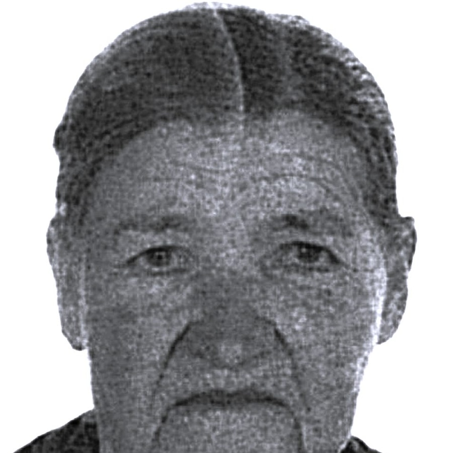 Dara Mitrović