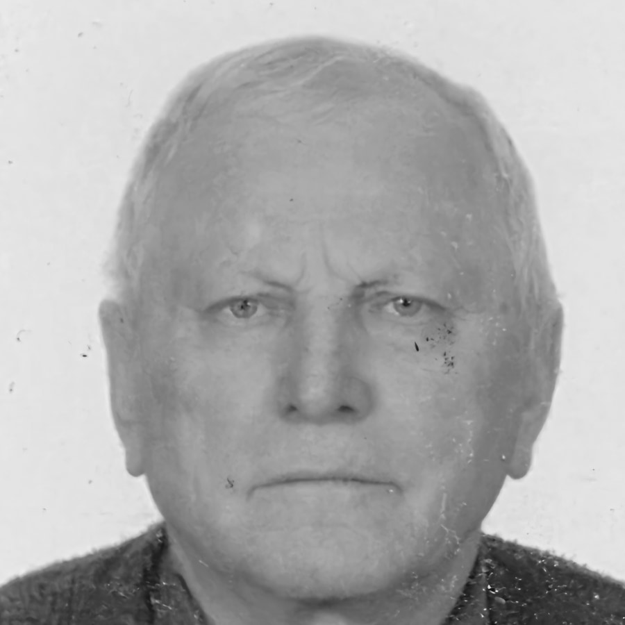 Josip Ružička