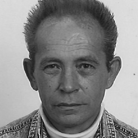 Siniša Seršić