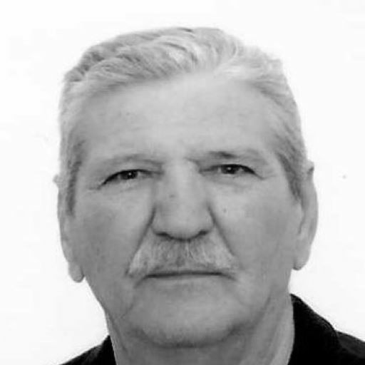 Vladimir Brenko