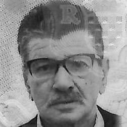 Miodrag Gvero