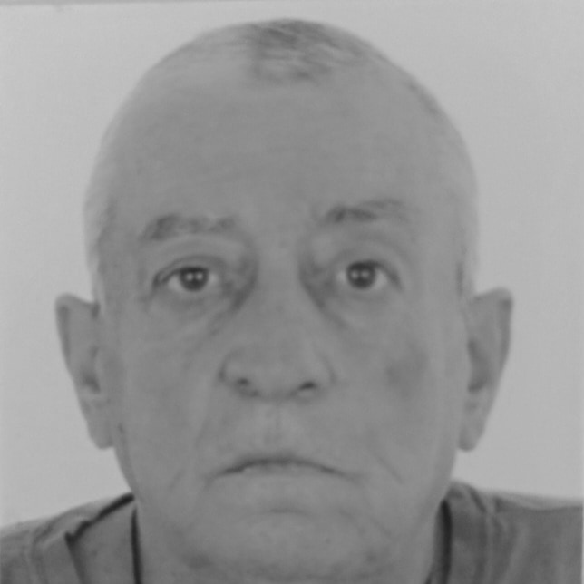 Zlatko Maglić - Magla