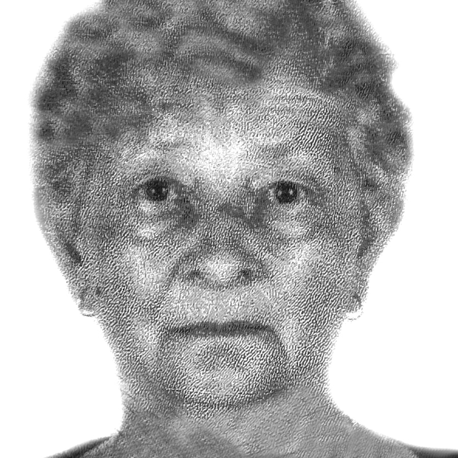 Olivera Pogorilić – Cico