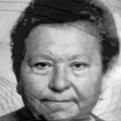 Pera Junušić