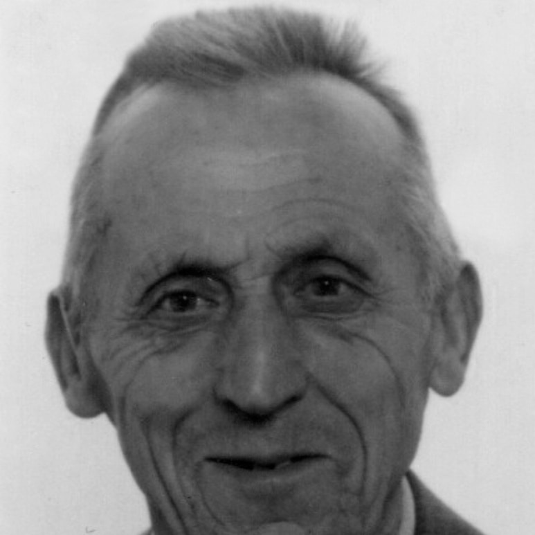 Mario Budak