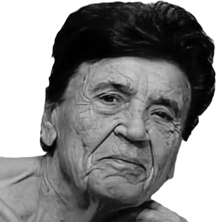 Dina Damijanić