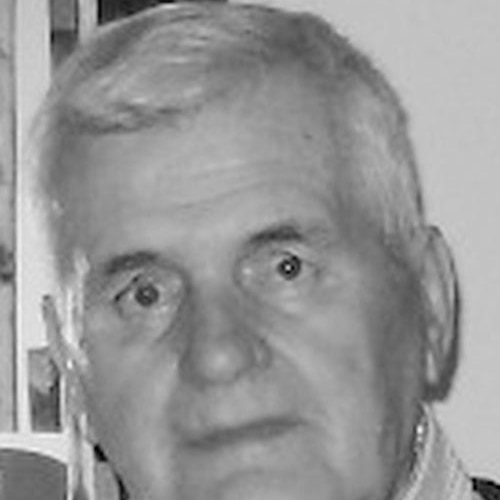 Luka Radojičić