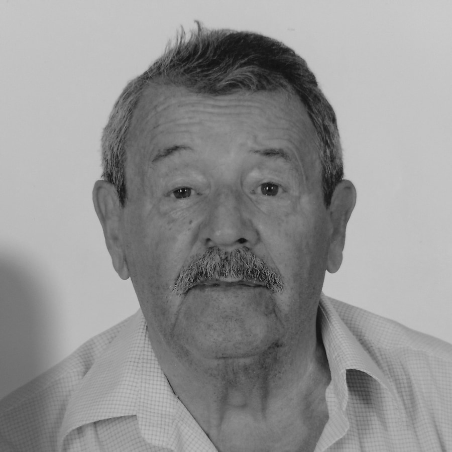 Berislav Brulja