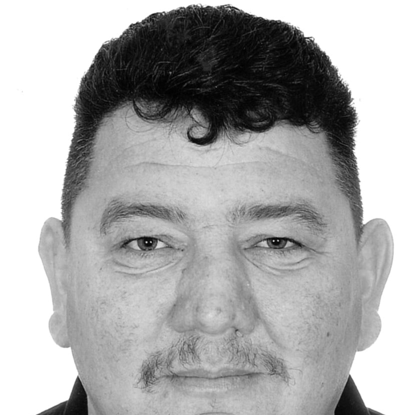 Stjepan Rogić