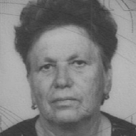 Mira Gršković