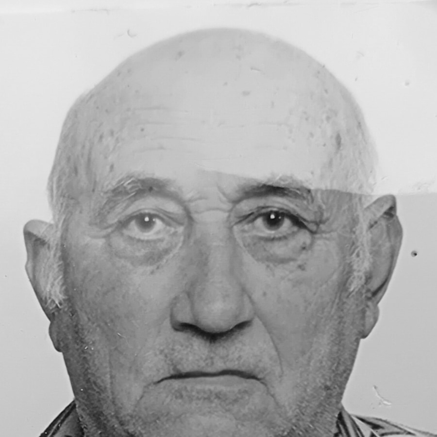 Vile Smolić