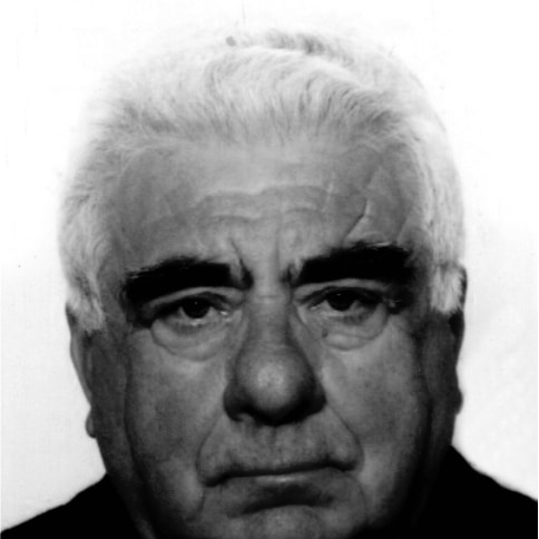 Josip Modrušan