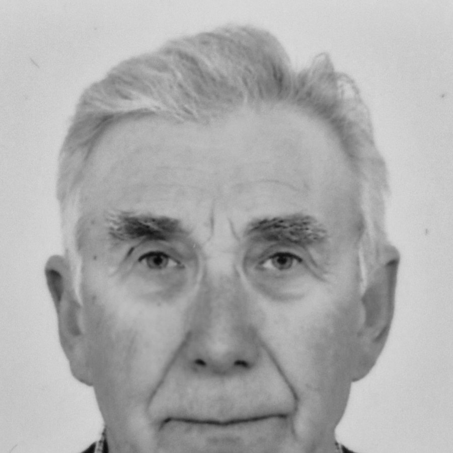 Zorko Bibulić