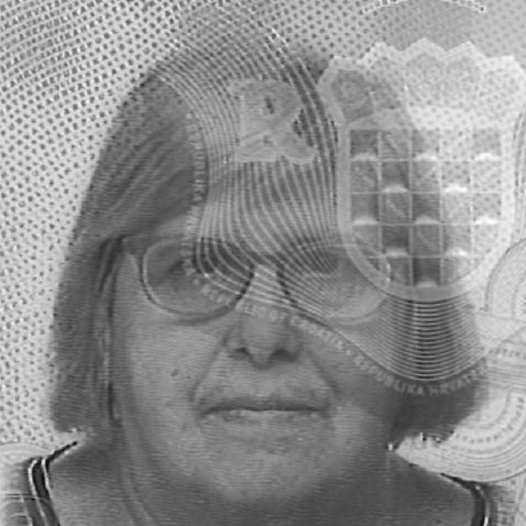 Vesna Žic