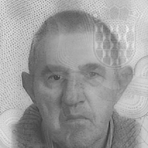 Franjo Bajčić