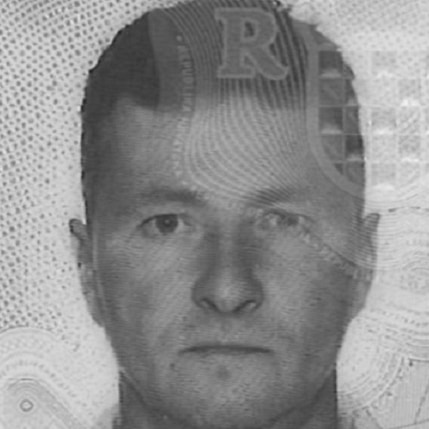 Staniša Ilić