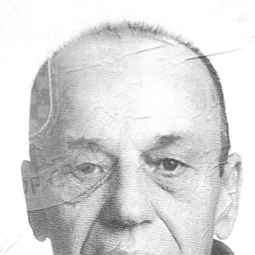 Darko Cvitković