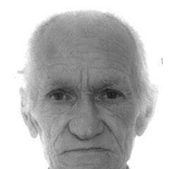 Stjepan Hržić