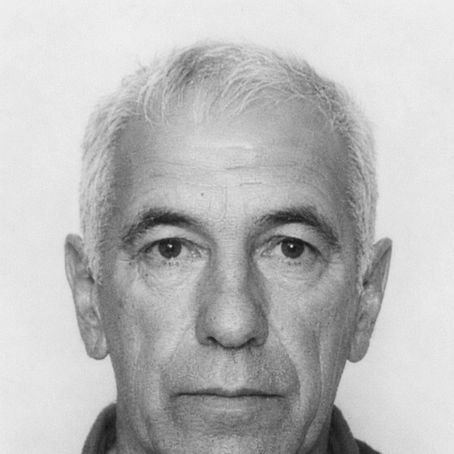 Đani Gržinić