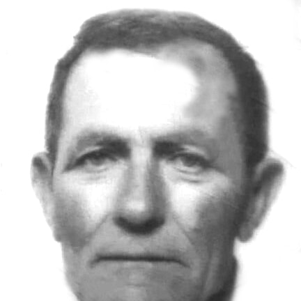 Šime Brzoja