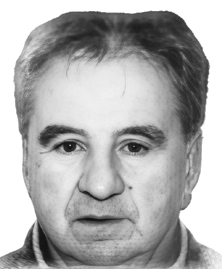 Niko Erlić