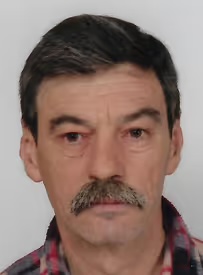 Franc Rebernik